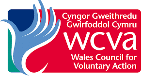 wales council for voluntary action